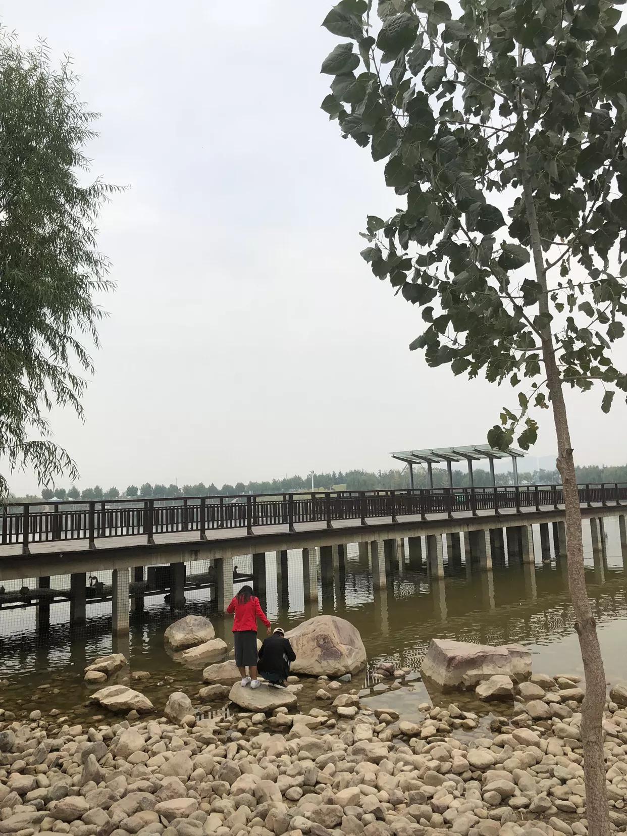 郑州健身教练培训，塑造专业，引领健康潮流，郑州专业健身教练培训，塑造健康潮流的引领者