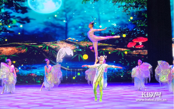 儿童杂技表演，传统艺术的璀璨明珠，儿童杂技表演，传统艺术的璀璨瑰宝