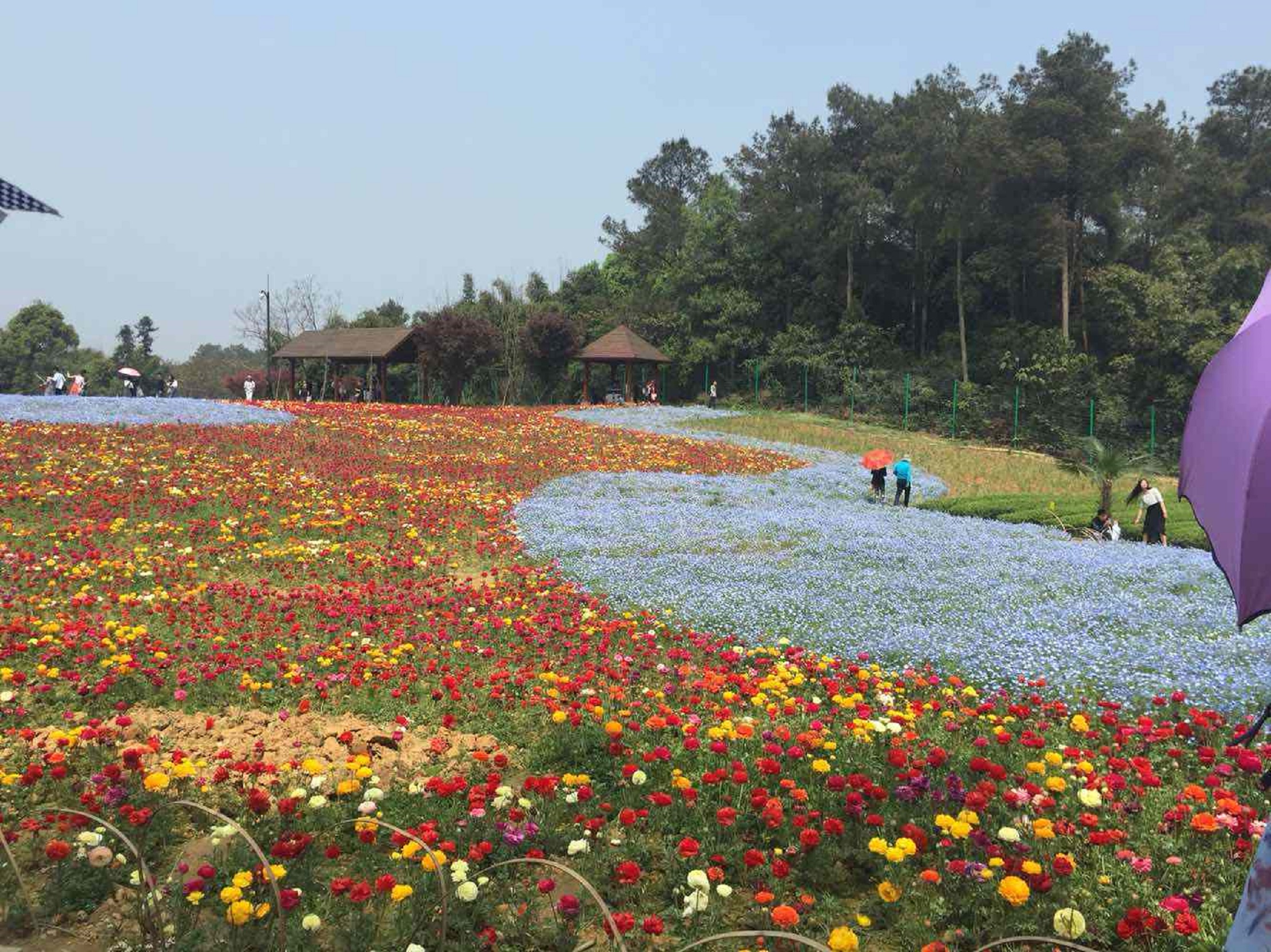 蒲江石象湖生态风景区游览图，蒲江石象湖生态风景区游览攻略及详细游览图