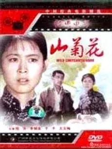 武林传奇/热血江湖