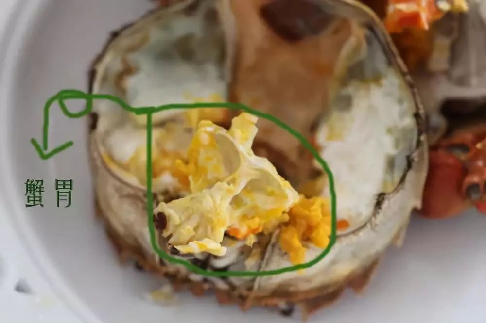 扇贝肉清洗内脏图解，烹饪前的必要准备，扇贝肉清洗内脏图解，烹饪前的准备步骤详解