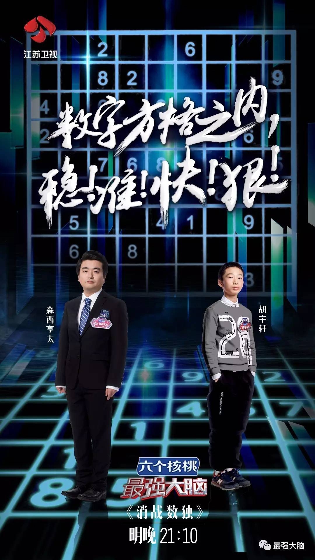 最强大脑第十季，免费观看完整版，探索智慧之旅，最强大脑第十季完整版在线观看，智慧之旅的无限探索