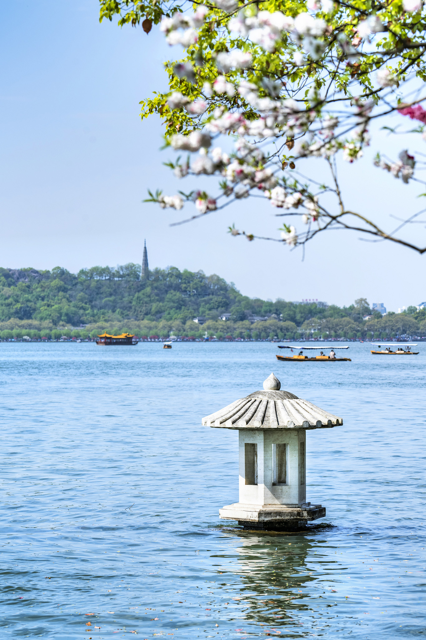 杭州西湖的春天，一场绚烂的诗意之旅，杭州西湖春日，诗意绚烂之旅