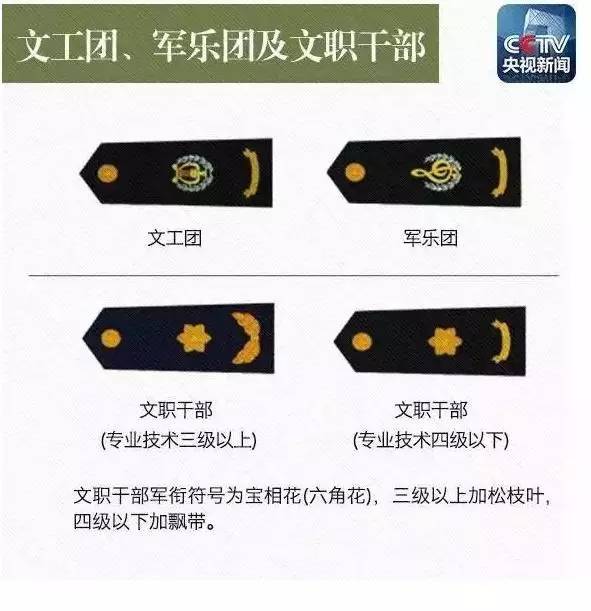 辨别军衔等级，方法与技巧，如何辨别军衔等级，方法与技巧详解