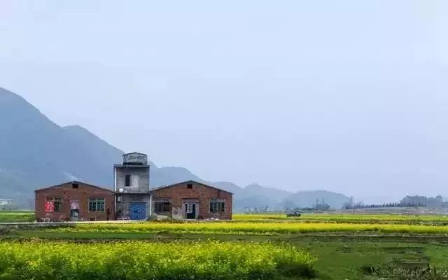 周庄门票包含哪些景点免费，深度解析周庄古镇的旅游福利，周庄门票涵盖的免费景点及周庄古镇旅游福利深度解析