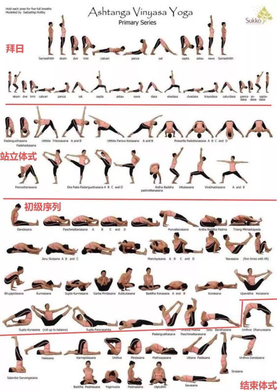 阿斯汤加瑜伽60分钟编排，体验全面的身心之旅，阿斯汤加瑜伽一小时课程，全面身心之旅体验
