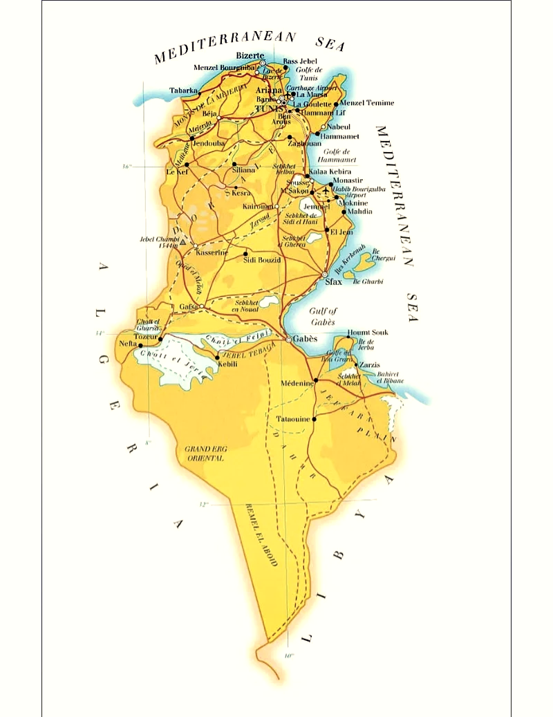突尼斯的地理位置及其周边国家，突尼斯地理位置概览，周边国家一览