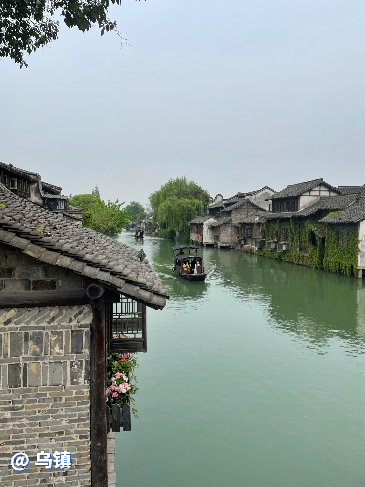 杭州旅游，乌镇的魅力与风情，杭州之旅，乌镇的魅力和风情探索