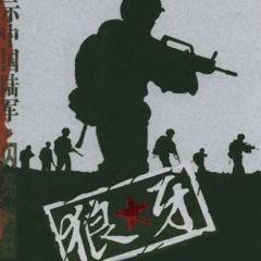 狼牙特种部队，电视剧中的英勇传奇，狼牙特种部队，英勇传奇的电视剧故事