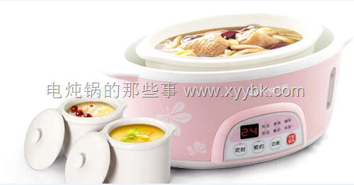 电炖锅食谱大全及做法，电炖锅食谱大全与做法详解
