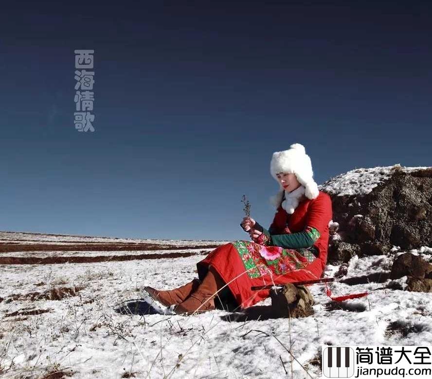 探寻西海情歌的旋律之美，简谱完整版解读，西海情歌旋律之美，简谱完整版深度解读