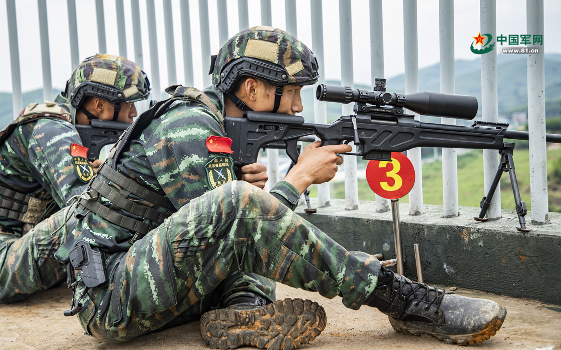 武警特战八大专业的深度解析，武警特战八大专业的深度剖析与解读