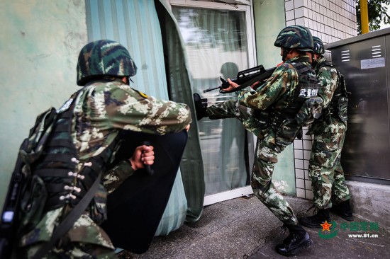 武警特战八大专业的深度解析，武警特战八大专业的深度剖析与解读