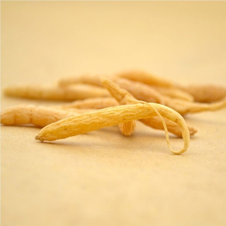 太子参的功效与作用，太子参的功效与作用简介