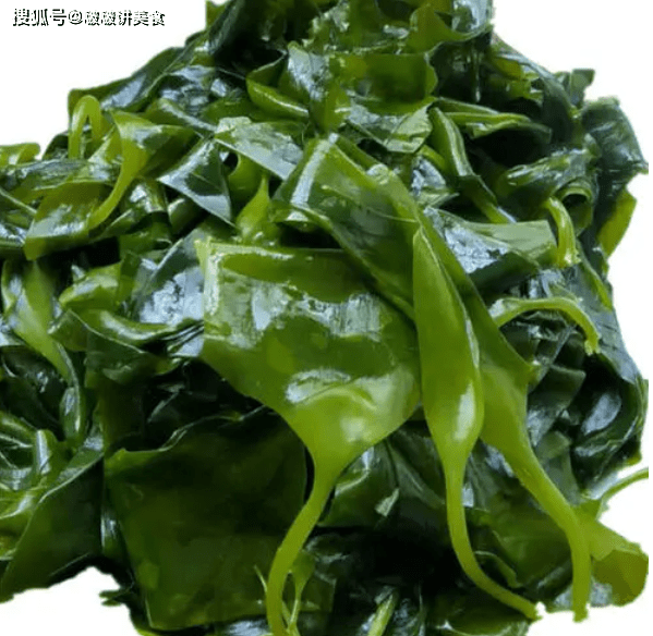 裙带菜与海带，两种海洋植物的独特区别，裙带菜与海带，海洋植物的独特差异解析