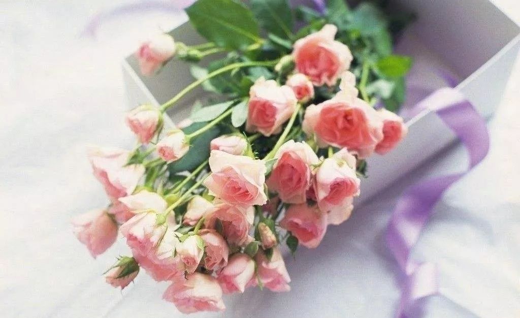 鲜花图片大全，探索美丽与灵感的源泉，鲜花图片集锦，美丽与灵感的探索之旅
