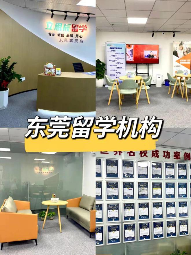 留学咨询机构，引领学子走向国际化之路的桥梁与伙伴，留学咨询机构，学子走向国际化的桥梁与伙伴引领之路