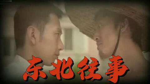 东北往事之黑道风云，二十年风云激荡的在线观看完整版，东北往事之黑道风云，二十年风云激荡——在线观看完整版
