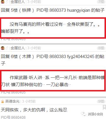 英德小虫网与英德招聘网，探寻最新招聘信息的深度指南，英德小虫网与英德招聘网，最新招聘信息深度指南
