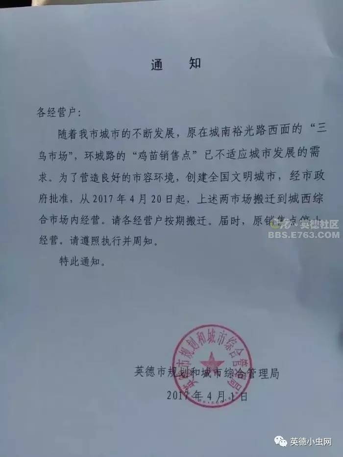 英德小虫网与英德招聘网，探寻最新招聘信息的深度指南，英德小虫网与英德招聘网，最新招聘信息深度指南