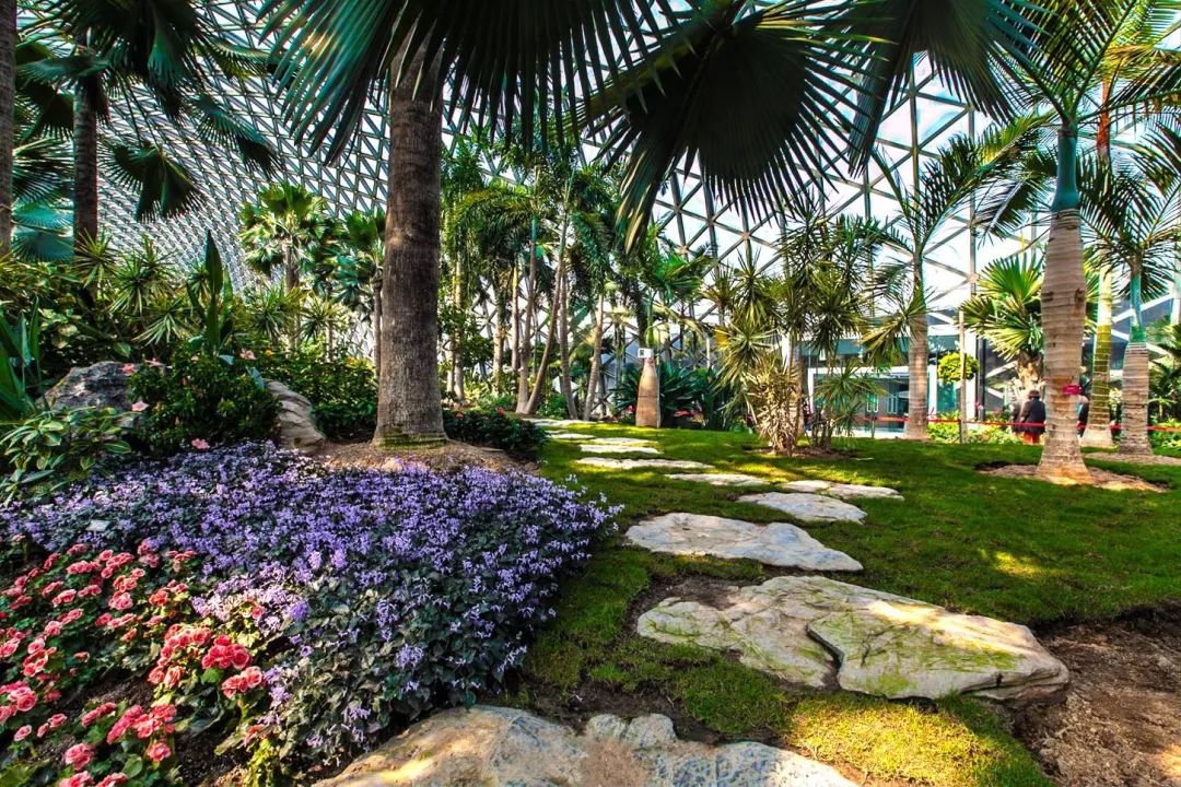 探索上海辰山植物园周边景点，自然与文化的完美结合，上海辰山植物园周边探秘，自然与文化的和谐融合之旅