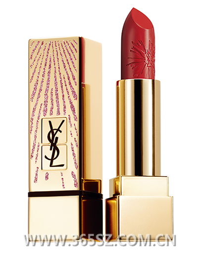 YSL，时尚之光的独特魅力，YSL，时尚之光的独特魅力闪耀无限