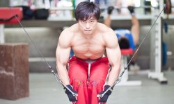塑造完美胸肌中缝，全面锻炼指南，塑造完美胸肌中缝全面锻炼宝典