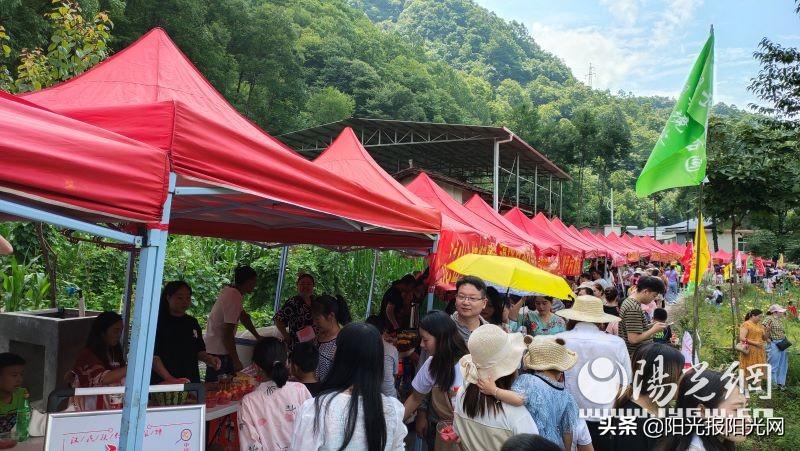 镇坪旅游，探索值得去的地方，镇坪旅游，探索神秘之地，领略无限风光