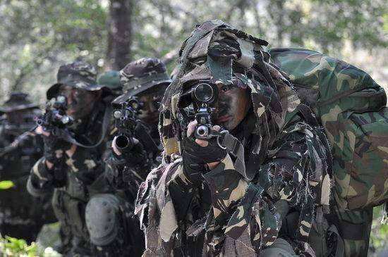 特种兵排行榜前10名，全球精英战士的荣耀与力量，全球特种兵排行榜前十名，精英战士的荣耀与力量展现