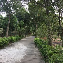 瀛洲生态公园游玩攻略，轻松前往指南，瀛洲生态公园游玩攻略，轻松前往的指南