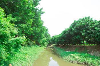 瀛洲生态公园游玩攻略，轻松前往指南，瀛洲生态公园游玩攻略，轻松前往的指南