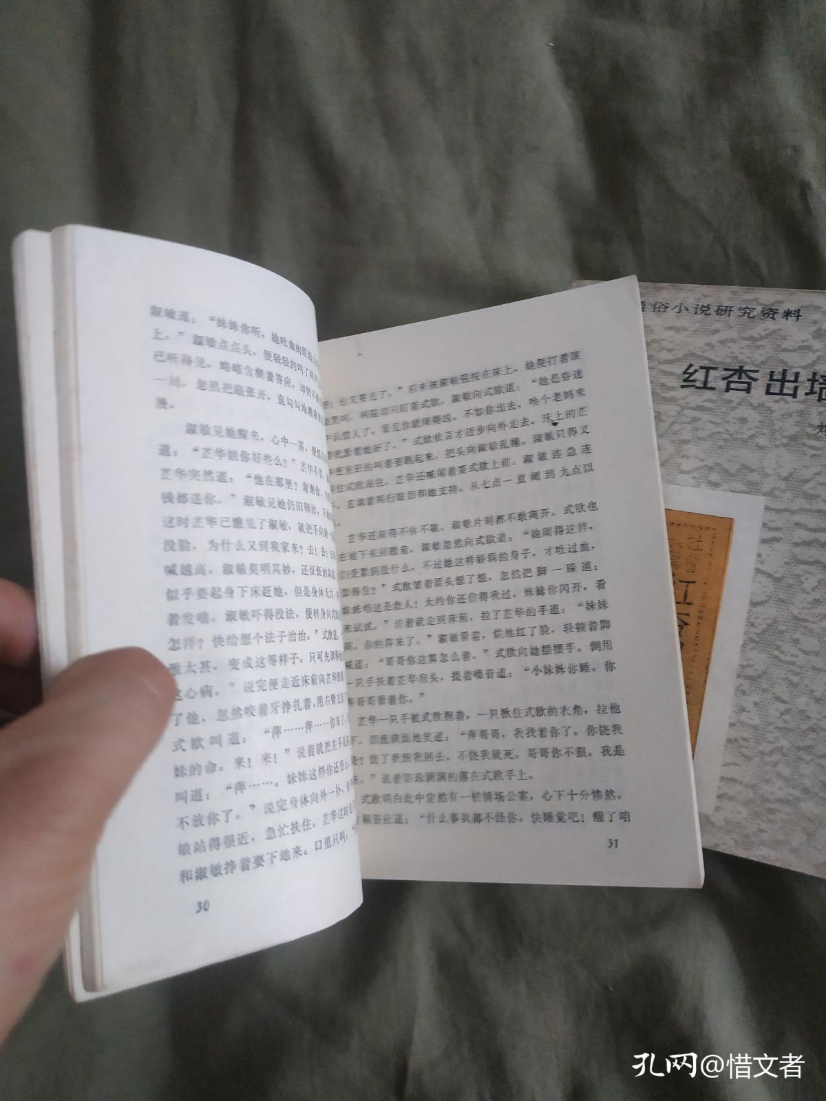 红杏出墙记全文小说，红杏出墙记，禁忌之恋的完整故事