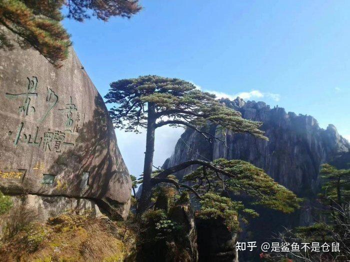 安徽旅游攻略最新，探索徽风皖韵的绝佳之旅，安徽最新旅游攻略，徽风皖韵的完美之旅探索