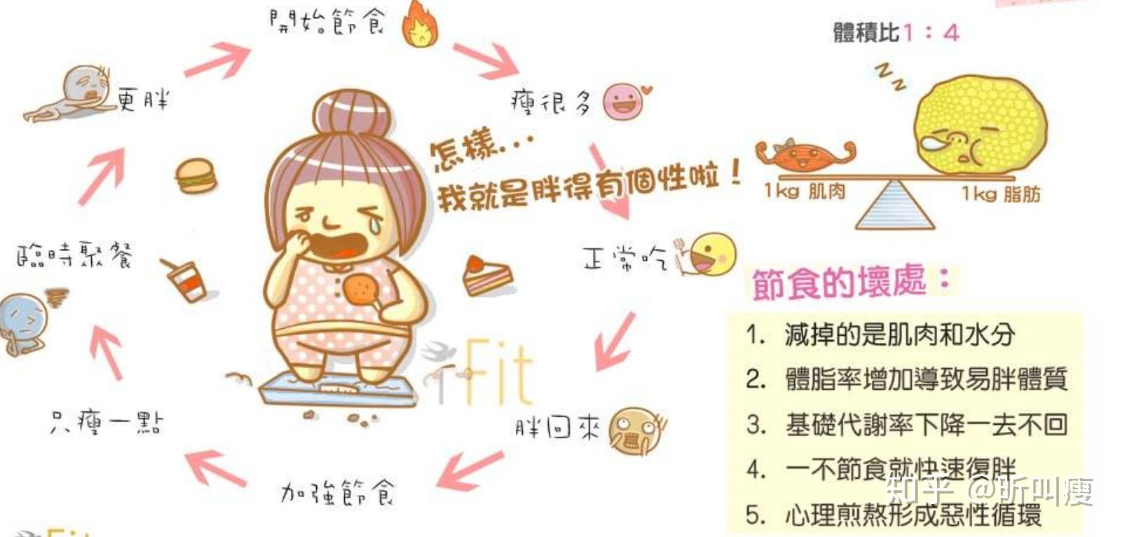 探索有效减肥之路，揭示减肥好方法的奥秘，揭秘有效减肥方法，探索瘦身奥秘之路