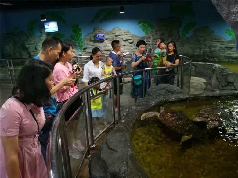北海之旅，探寻最佳出游时机，北海之旅，探寻最佳出游季节