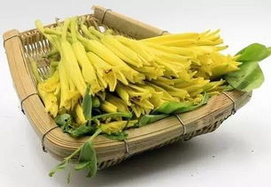 干黄花菜相克的食物，营养搭配需谨慎，干黄花菜的营养搭配与相克食物须知