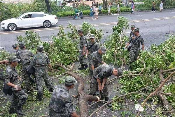 探索与解读，中国人民解放军陆军第31集团军的标志，中国人民解放军陆军第31集团军标志深度解读与探索