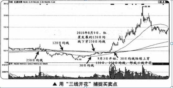 红星发展重组，探索新的征程与未来展望，红星发展重组，新征程的开启与未来展望