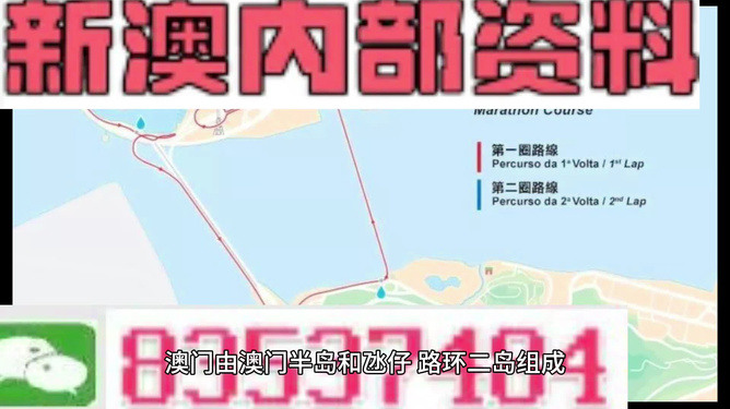 新澳彩资料免费资料大全，探索与解析，新澳彩资料免费探索与解析大全