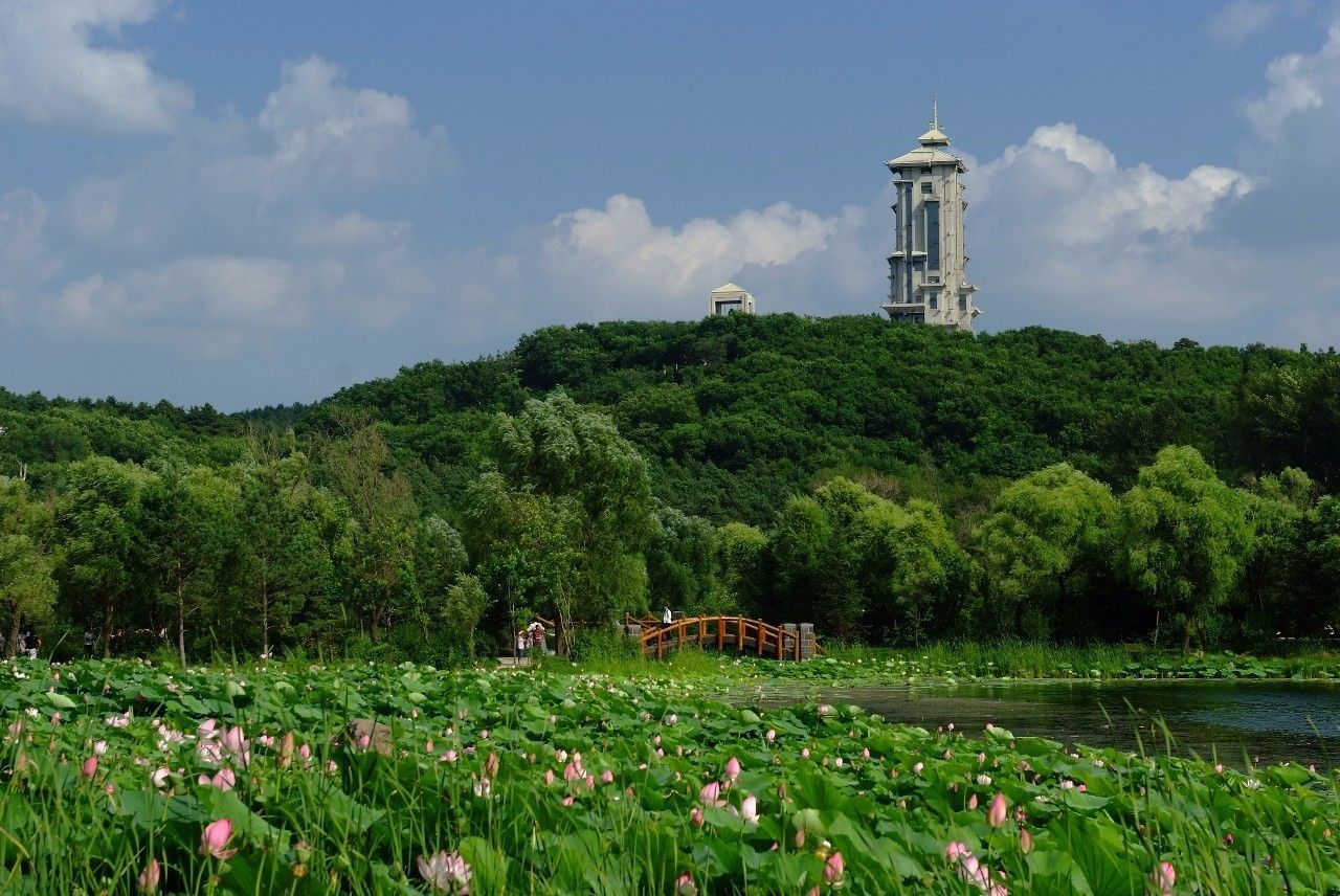 长春景点，历史与自然的交织之美，长春景点，历史与自然的交织魅力