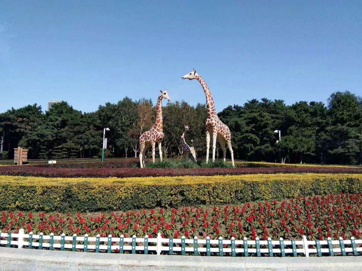 长春景点，历史与自然的交织之美，长春景点，历史与自然的交织魅力