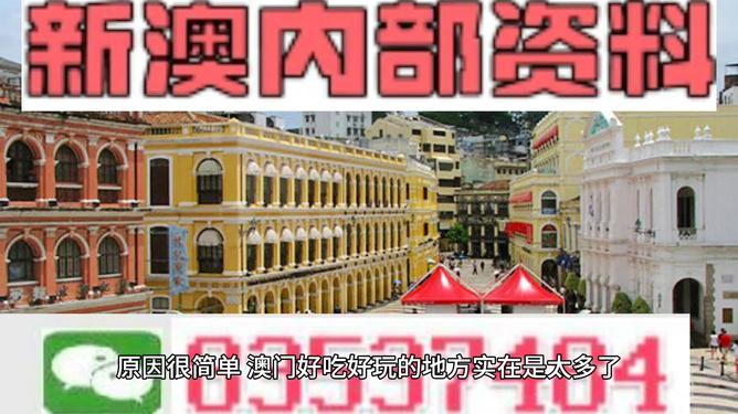 澳门最准最快资料，揭秘一个独特的视角，澳门精准资料揭秘，独特视角探索澳门之最