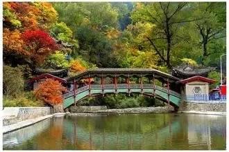 兰州征婚最新信息概览，兰州最新征婚信息总览