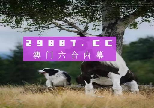 澳门彩票开奖，探索数字背后的故事与期待（2023年一），澳门彩票开奖背后的数字故事与期待（2023年首篇）