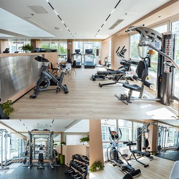 健身器材门店，一站式健康生活的理想选择，健身器材门店，一站式健康生活首选之地