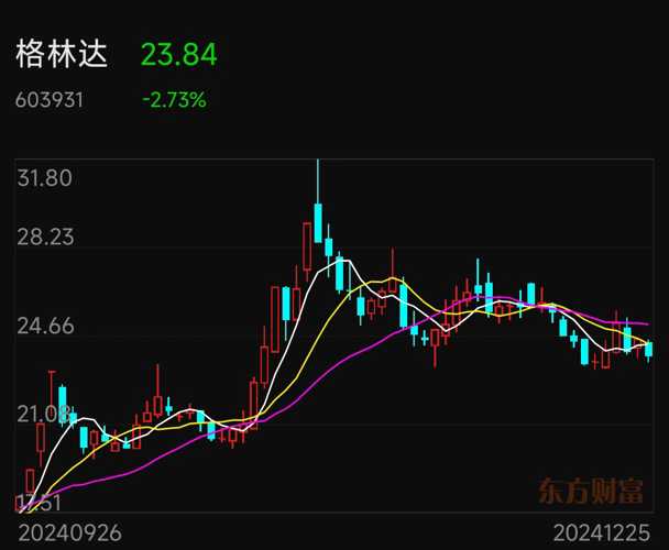 格林达股票，投资潜力与市场前景分析，格林达股票投资潜力与市场前景深度解析