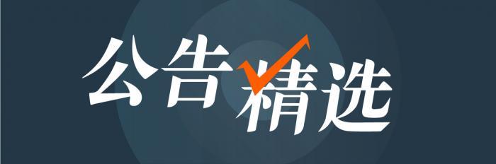 首创股份为何多年股价不涨，深度解析与前景展望，首创股份股价多年不涨深度解析与前景展望分析