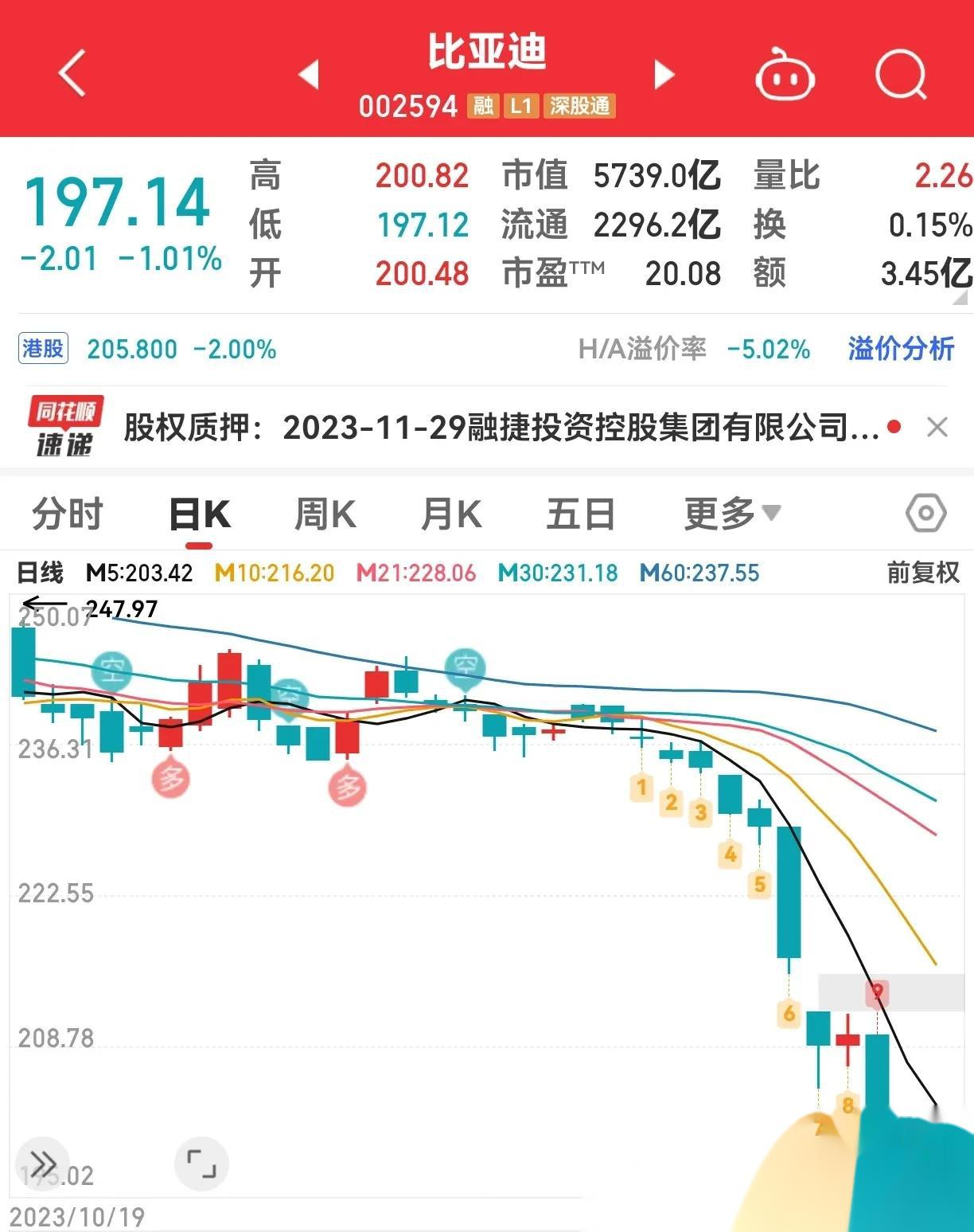 比亚迪股票的价格动态，深入了解一股的价值，比亚迪股票实时动态，全面解析一股价值深度