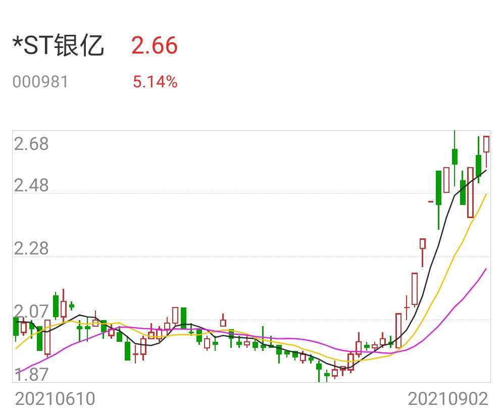ST银亿股票，市场走势与投资分析，ST银亿股票的市场走势与投资分析展望