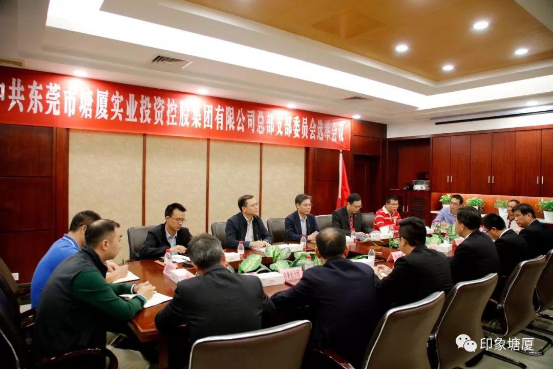 东莞控股的利好消息及其深远影响，东莞控股利好消息及其深远影响分析